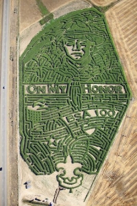 boy-scout-corn-maze-pic